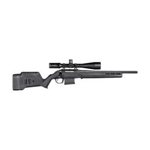 Hunter American Stock