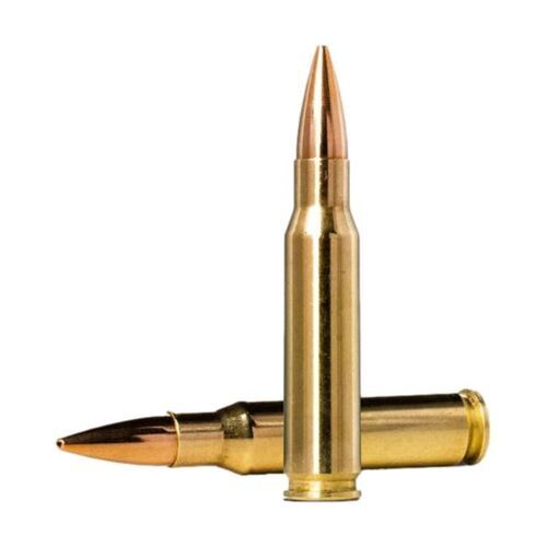 Golden Target | 10g | 155gr
