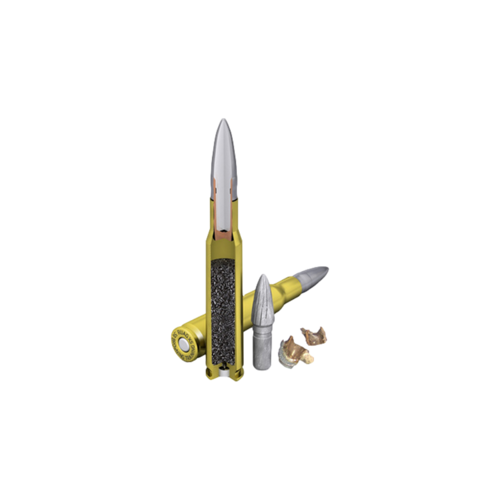 Blackround Ammo | .50 BMG | Training SX | 41.7g | 644 gr