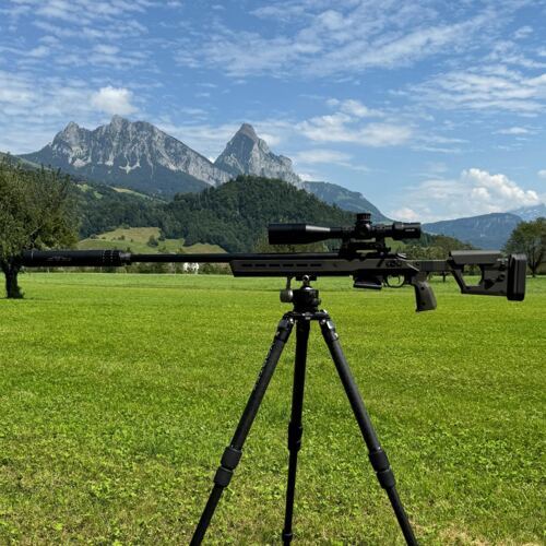 Precision V1 Bergara  | 26"