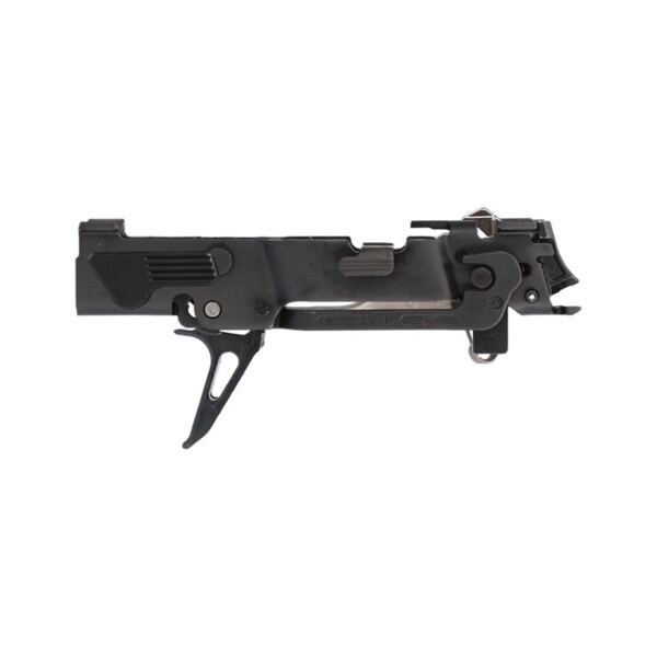 P320 Fire Control Unit