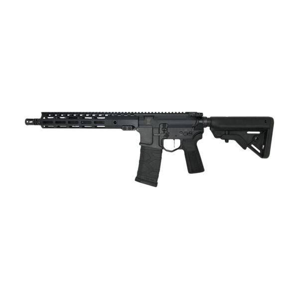 Piast B5 Systems | Fully Railed | 12.5"